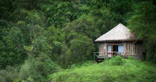Bale Mountains National Park