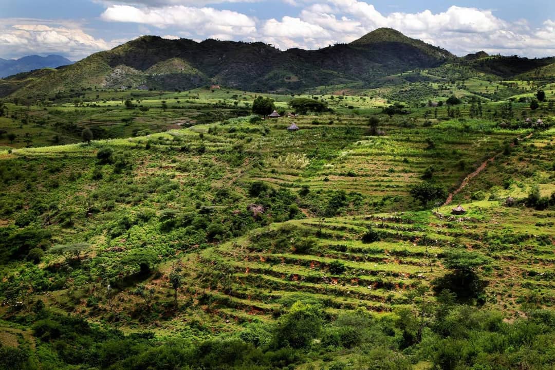 Konso agricultural terraces