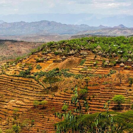 Konso terraced landscape