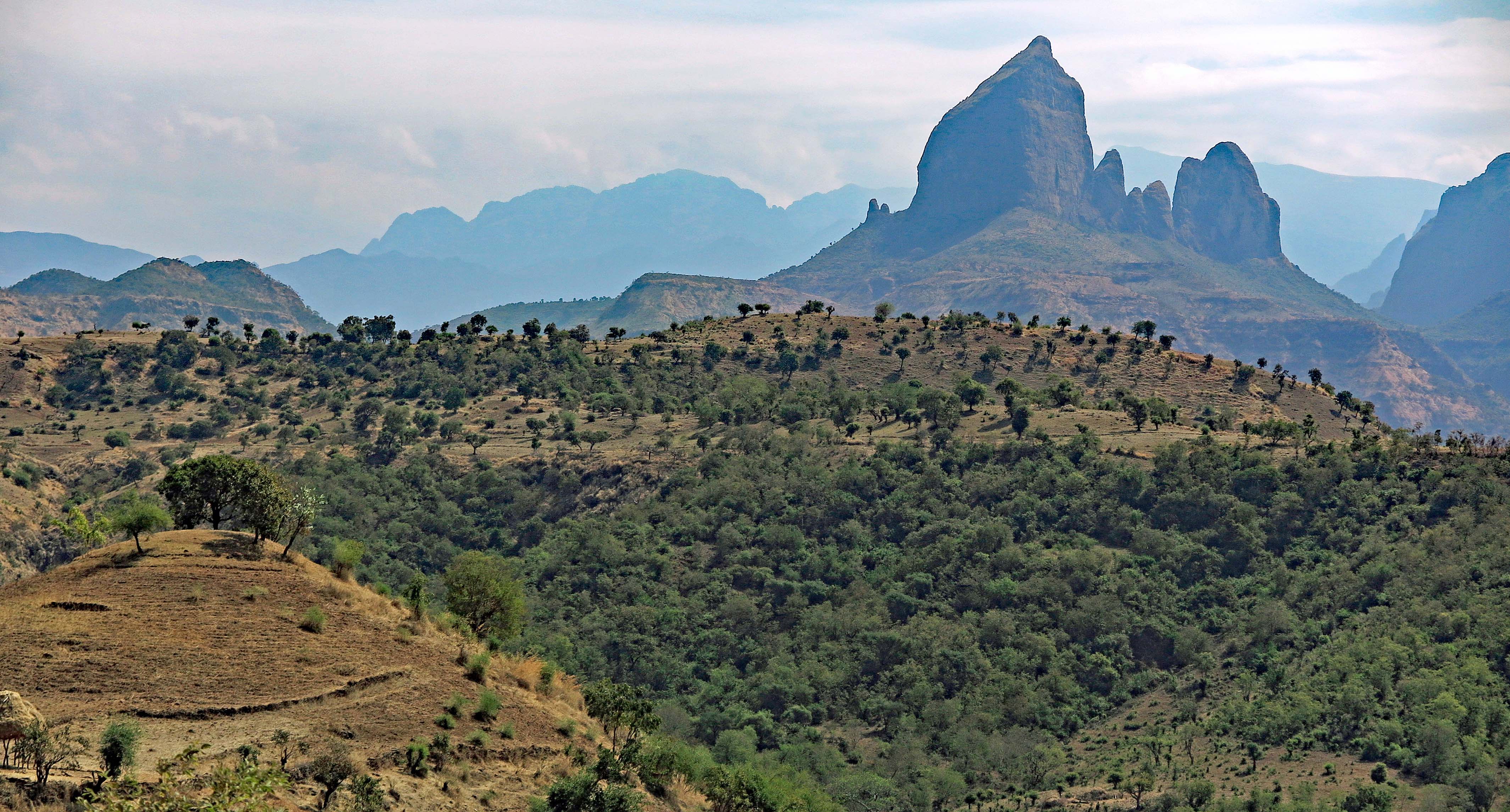 Simien Mountains Panorama